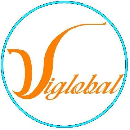 Logo Công ty Cổ phần Đầu tư và Tư vấn Viglobal