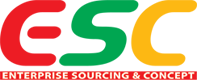 Logo CTY CP ESC VIỆT NAM