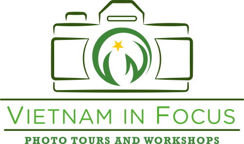 Logo Vietnam in Focus