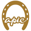 Logo Kien Truc Apic LTD