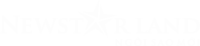 Logo Công ty cổ phần dịch vụ Newstarland