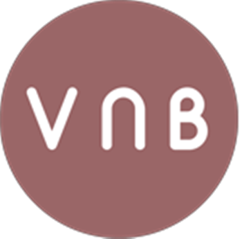 Logo Công Ty TNHH VNB