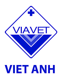 Logo Công ty Cổ phần Đầu tư Liên doanh Việt Anh