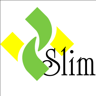 Logo Trung tâm giảm cân và làm đẹp Hslim