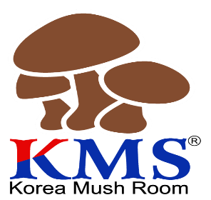Logo Công Ty Cổ Phần KMS Đầu Tư Sản Xuất Và Thương Mại