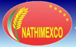 Logo Công Ty TNHH Xây Dựng Thương Mại Xuất Nhập Khẩu NAM THÀNH THANH BÌNH (NATHIMEXCO)