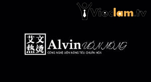 Logo Công ty TNHH Dịch Vụ Alvin