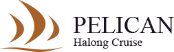 Logo Công ty cổ phần du thuyền Pelican Cruise